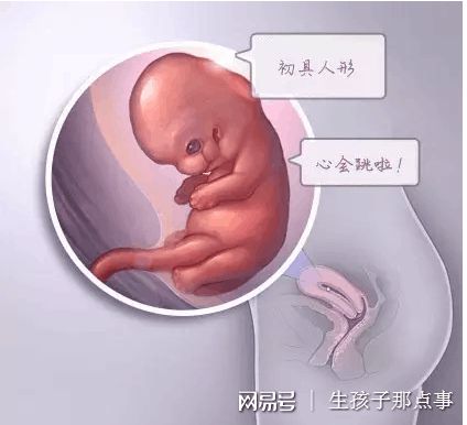 周启明 主任医师